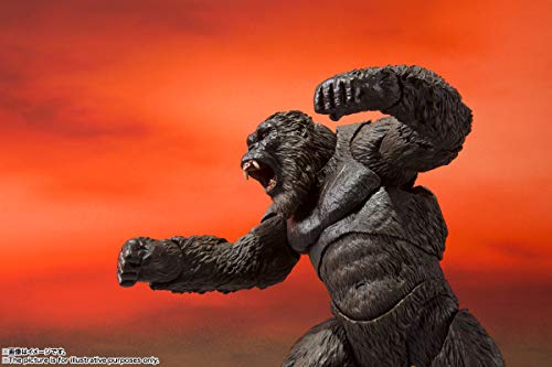 Tamashii Nations SHMonsterArts - Godzilla Vs Kong - Fiveboyz