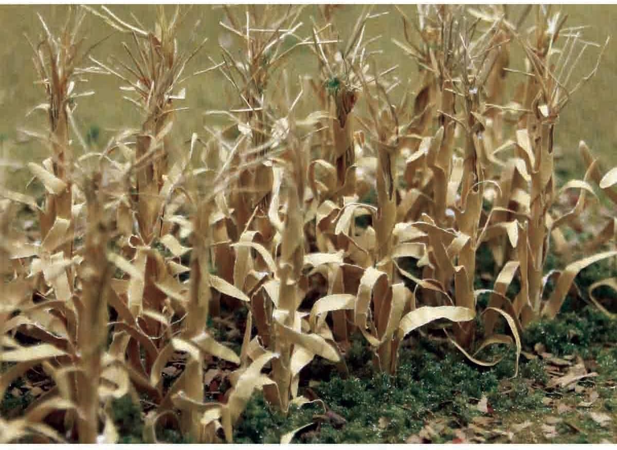 JTT Scenery Dried Corn Stalks 2" Tall 28/Pkg