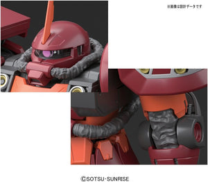 Bandai Hobby MG 1/100 PSYCHO Zaku Ver Ka Gundam Thunderbolt Building Kit